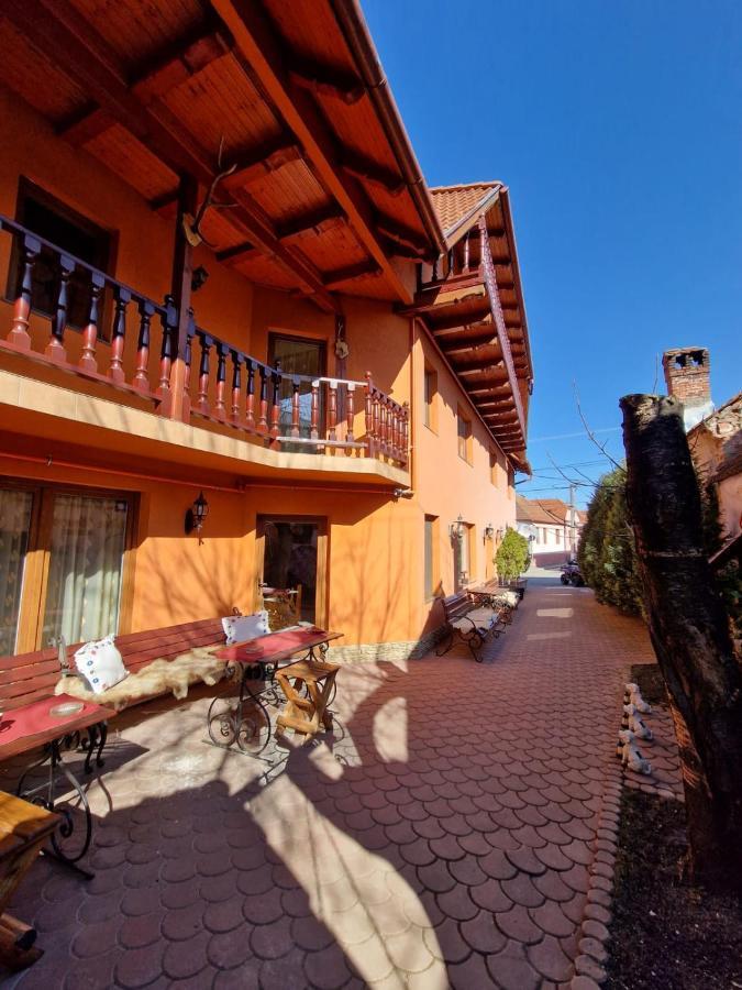 Guest house Pensiunea Casa Zarnesteana