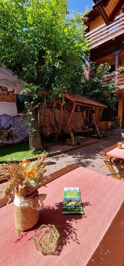 Pensiunea Casa Zarnesteana Guest house