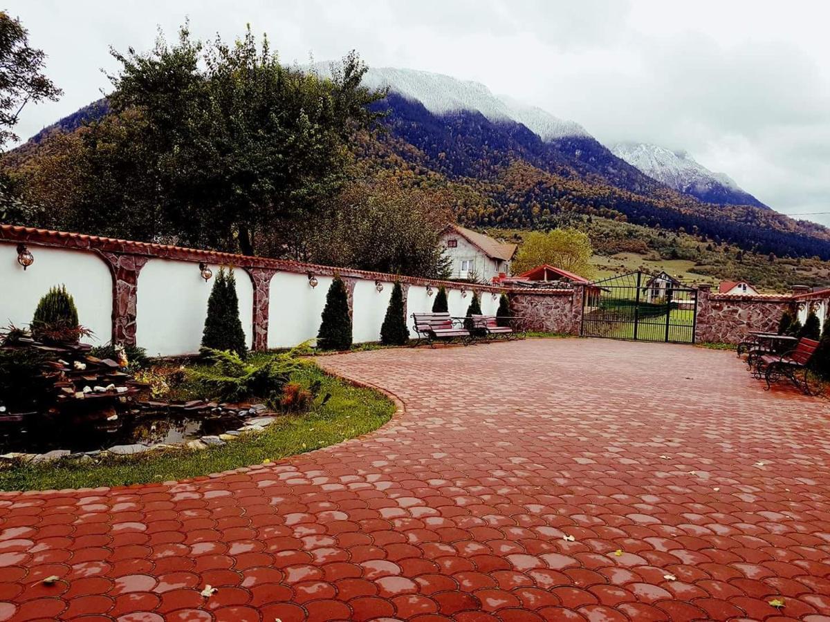 Pensiunea Casa Zarnesteana Guest house 3*