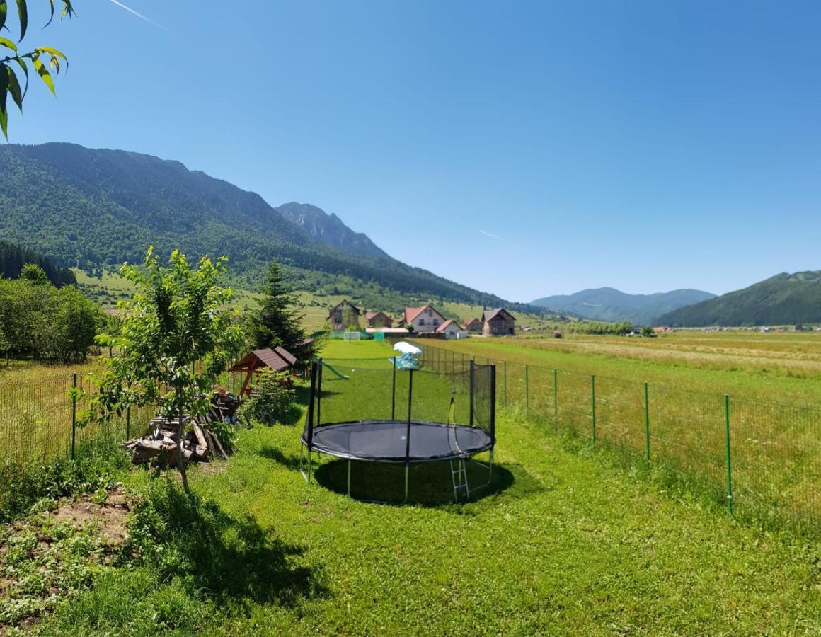 Pensiunea Casa Zarnesteana 3*