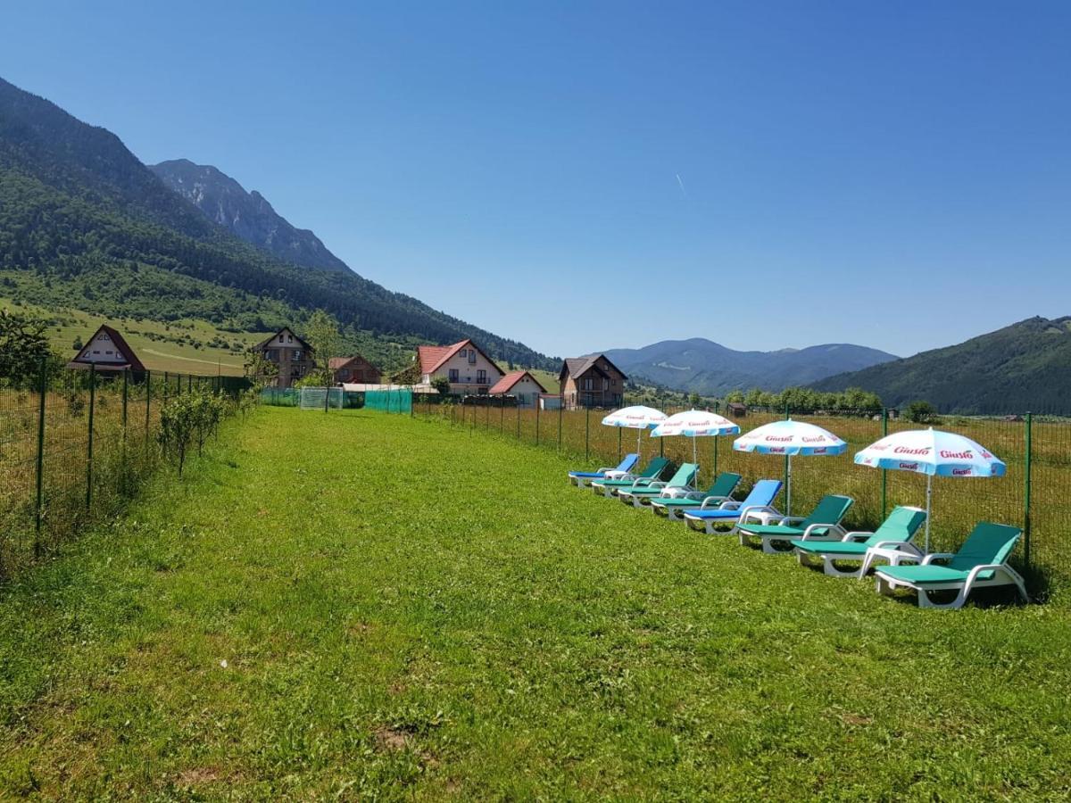 Pensiunea Casa Zarnesteana Zarnesti